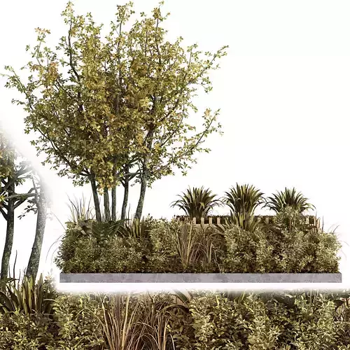 Outdoor Garden plants set in a box