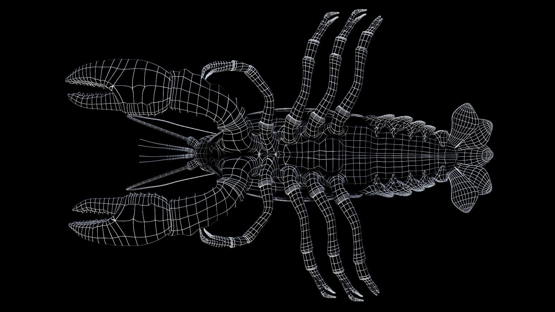 Lobster 3D model_5