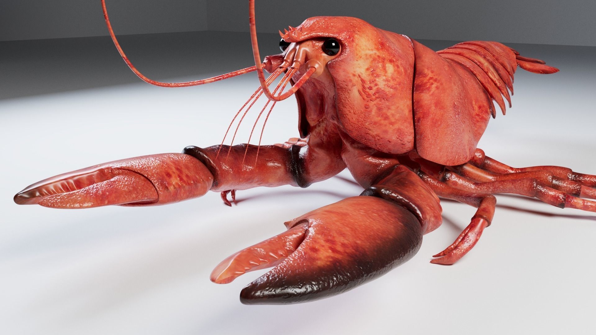 Lobster 3D model_13
