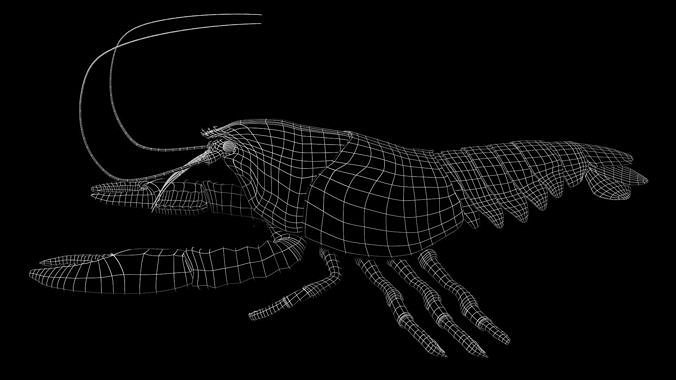 Lobster 3D model 4