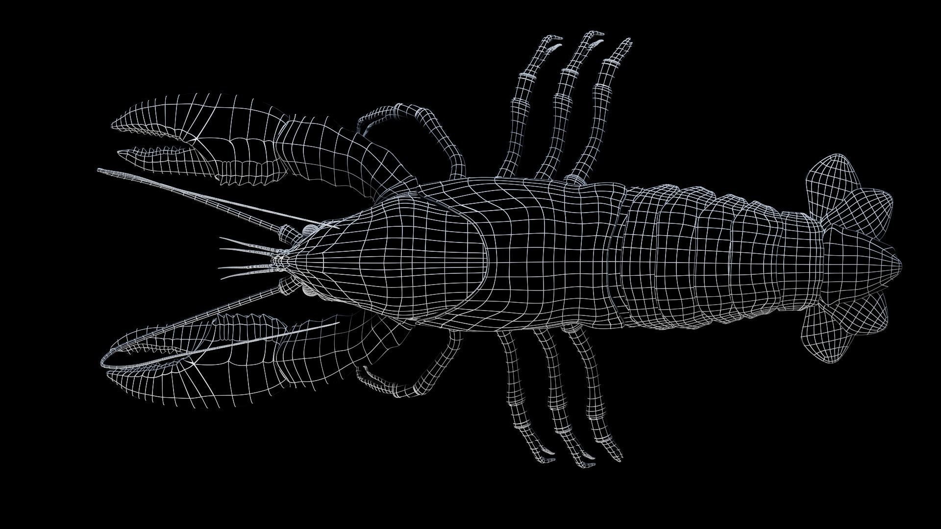 Lobster 3D model_4