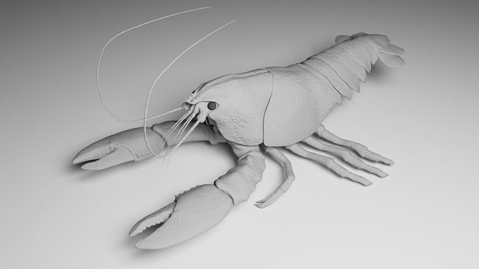 Lobster 3D model 2