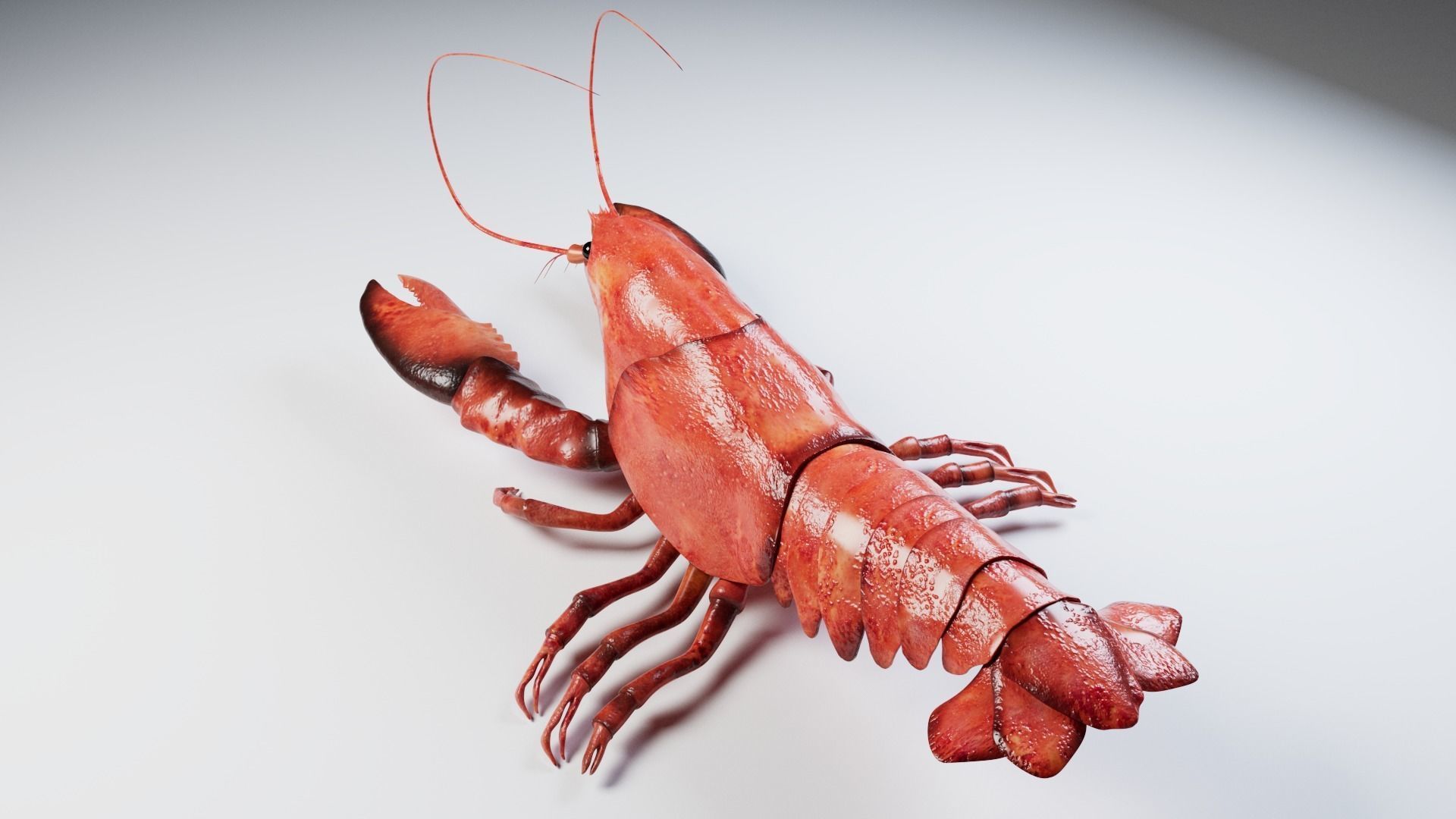 Lobster 3D model_8