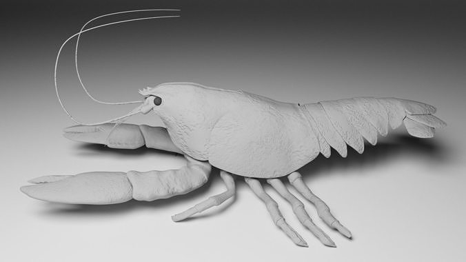 Lobster 3D model 3