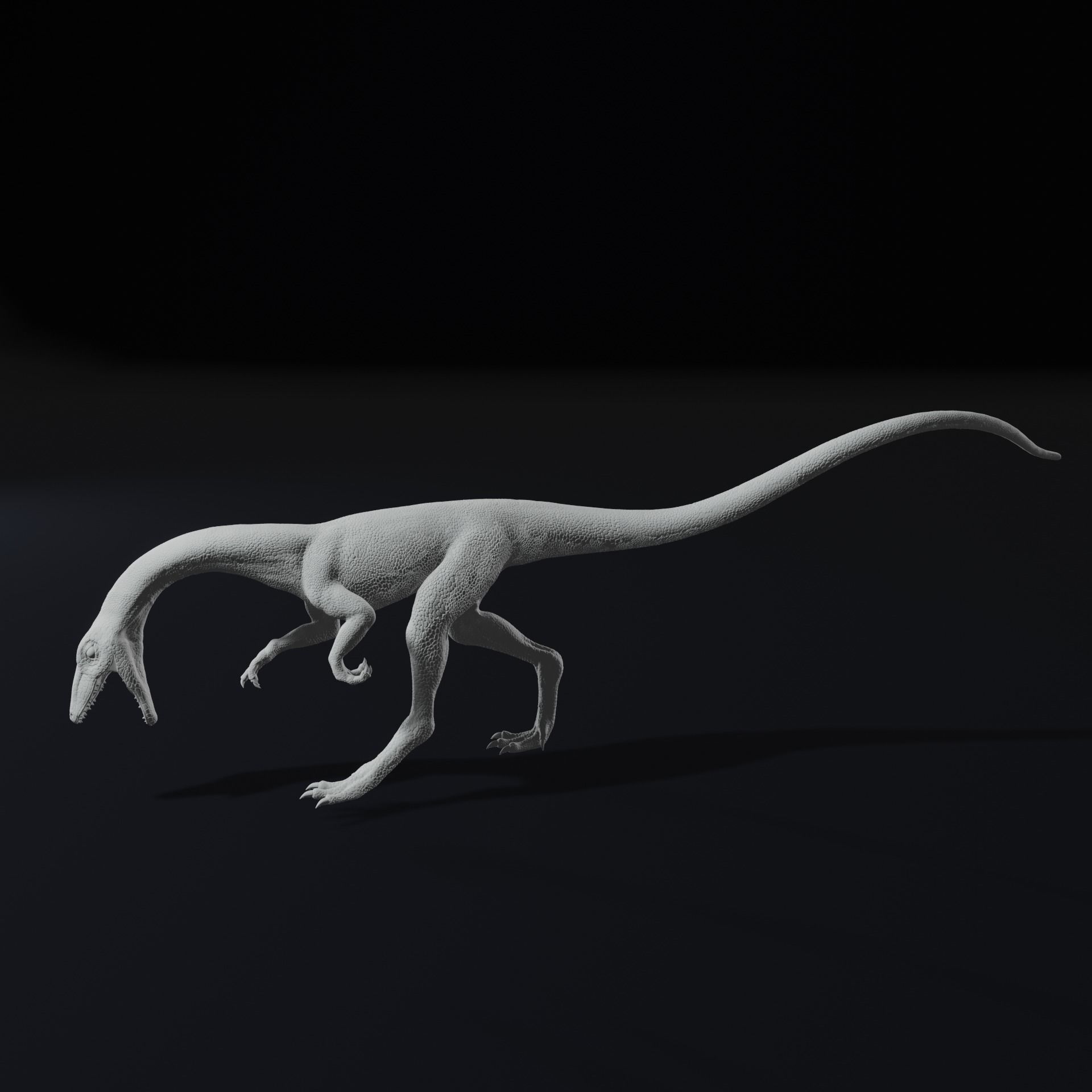 Compy - Compsognathus Dinosuar Reptile 3D Model 3D print model_6