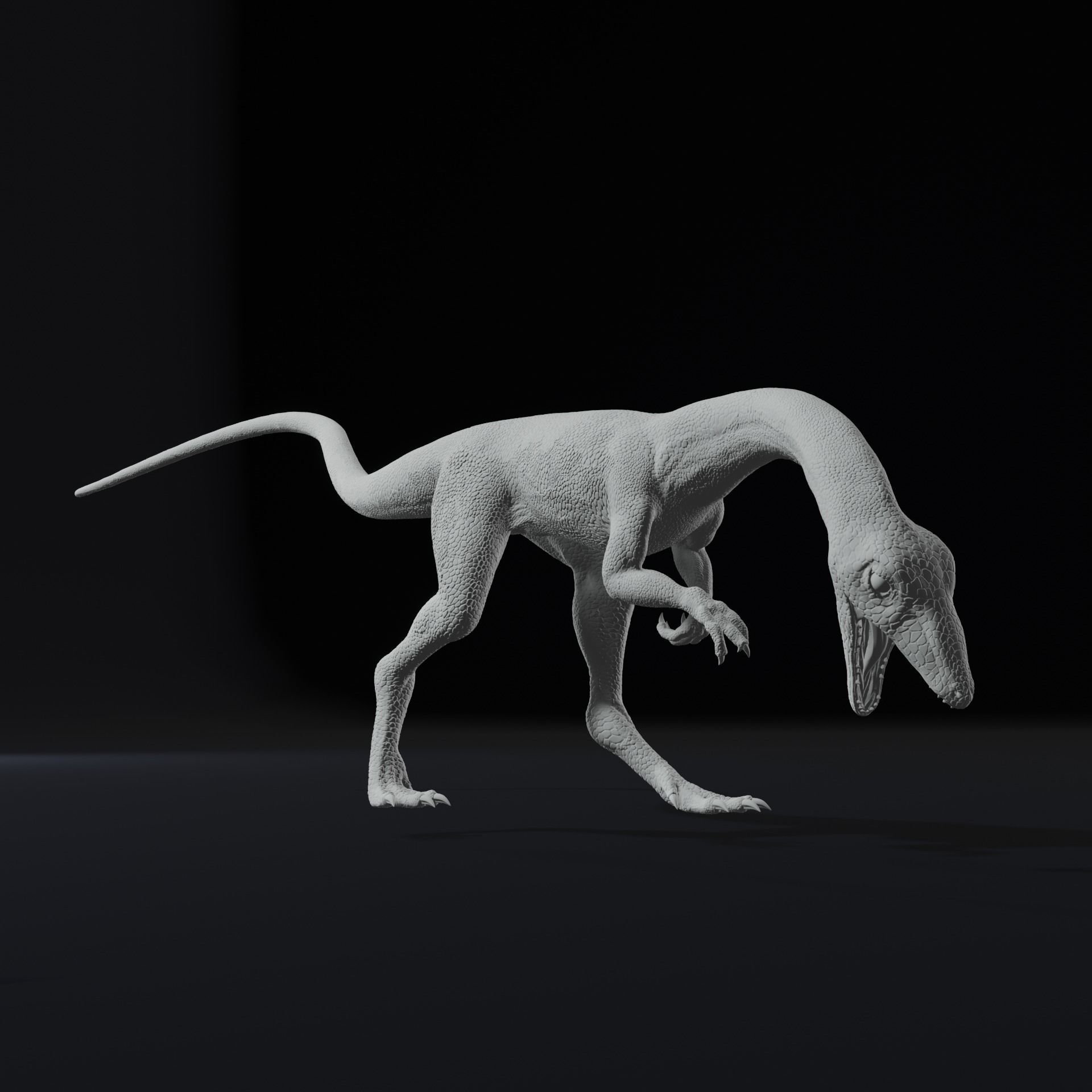 Compy - Compsognathus Dinosuar Reptile 3D Model 3D print model_5