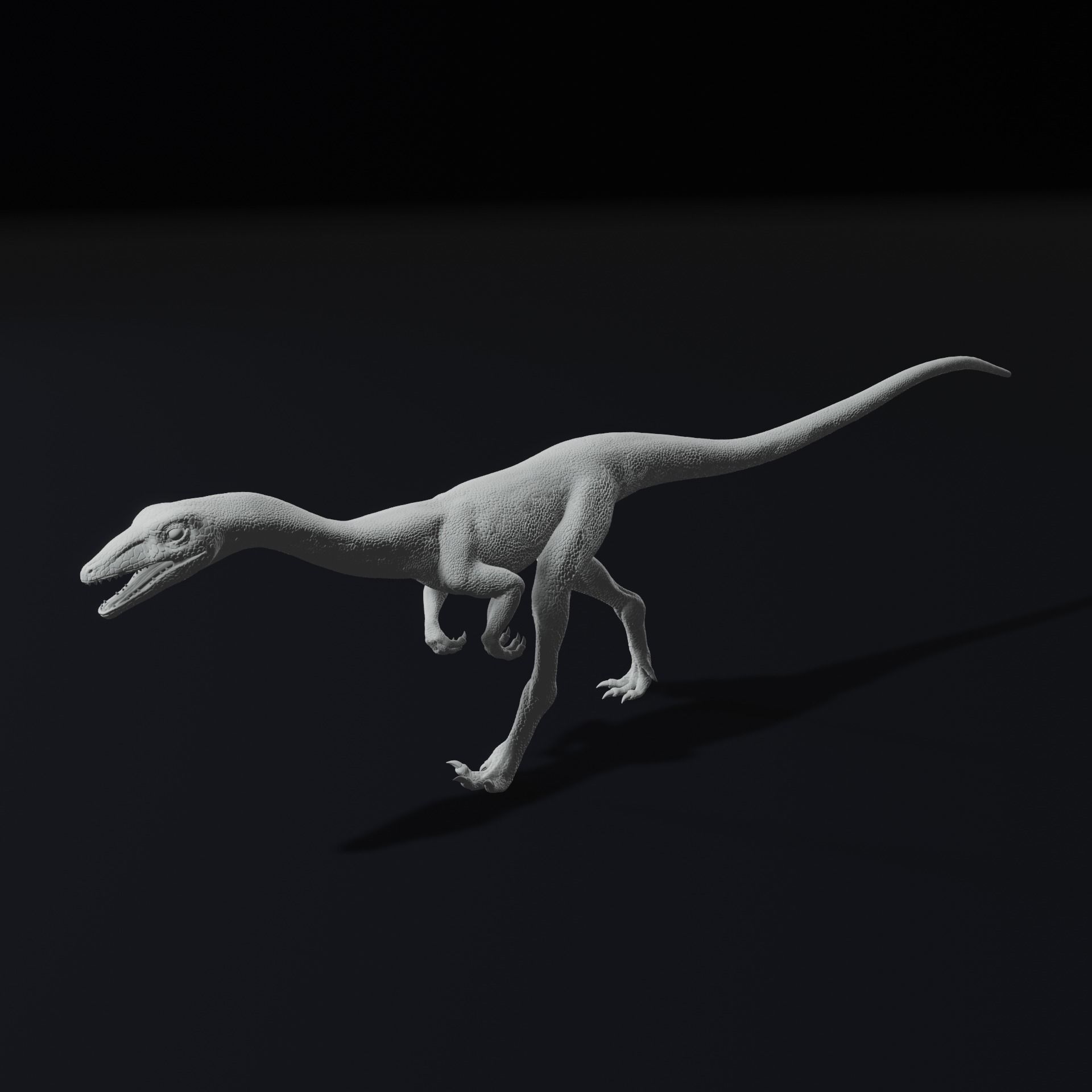 Compy - Compsognathus Dinosuar Reptile 3D Model 3D print model_7