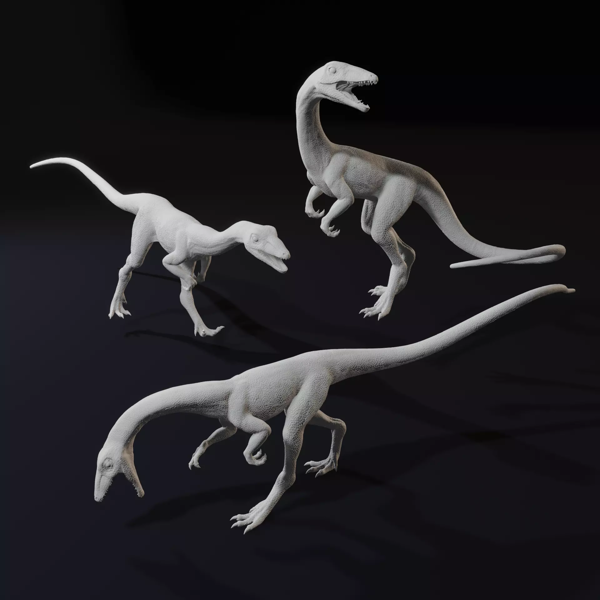 Compy - Compsognathus Dinosuar Reptile 3D Model 3D print model_0