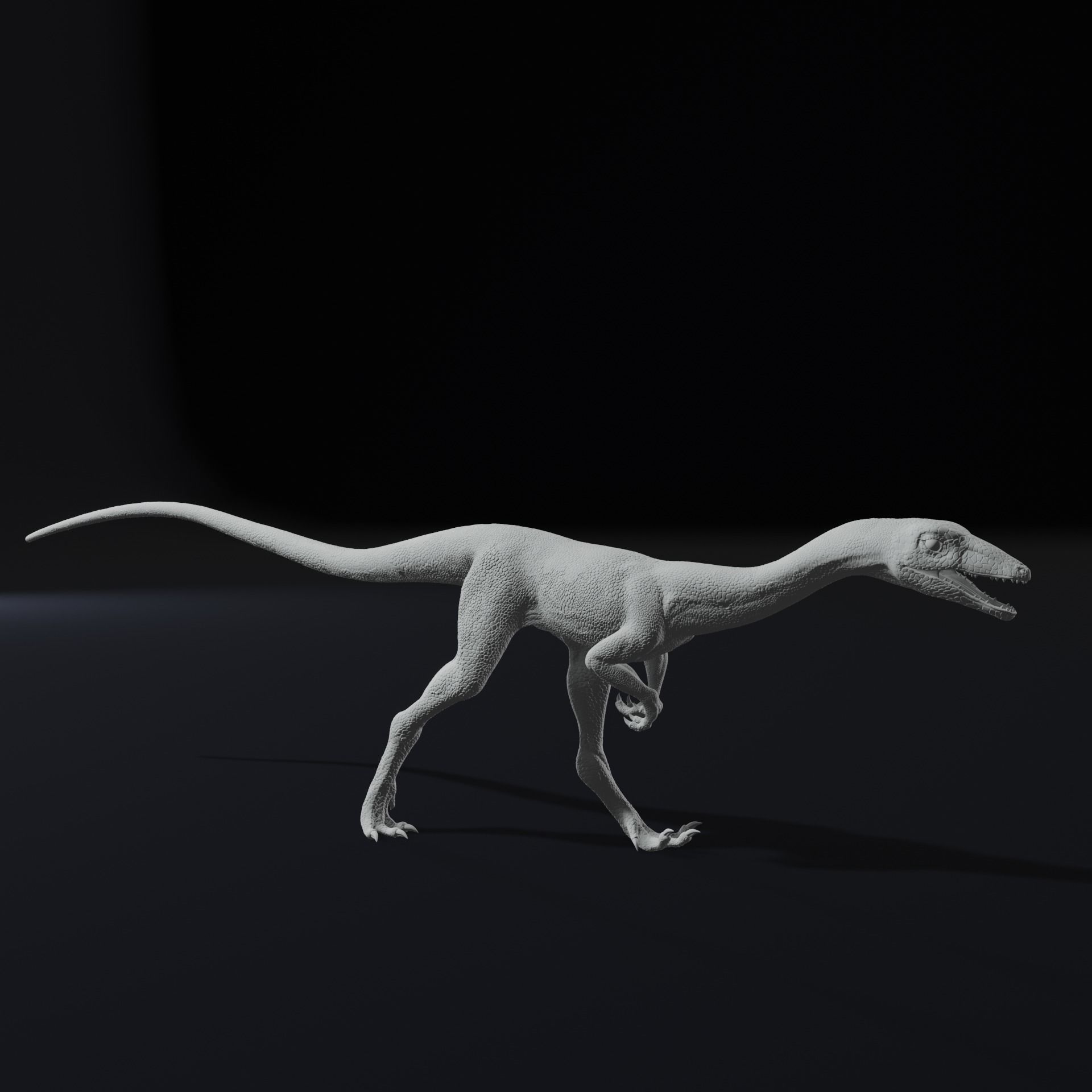 Compy - Compsognathus Dinosuar Reptile 3D Model 3D print model_8