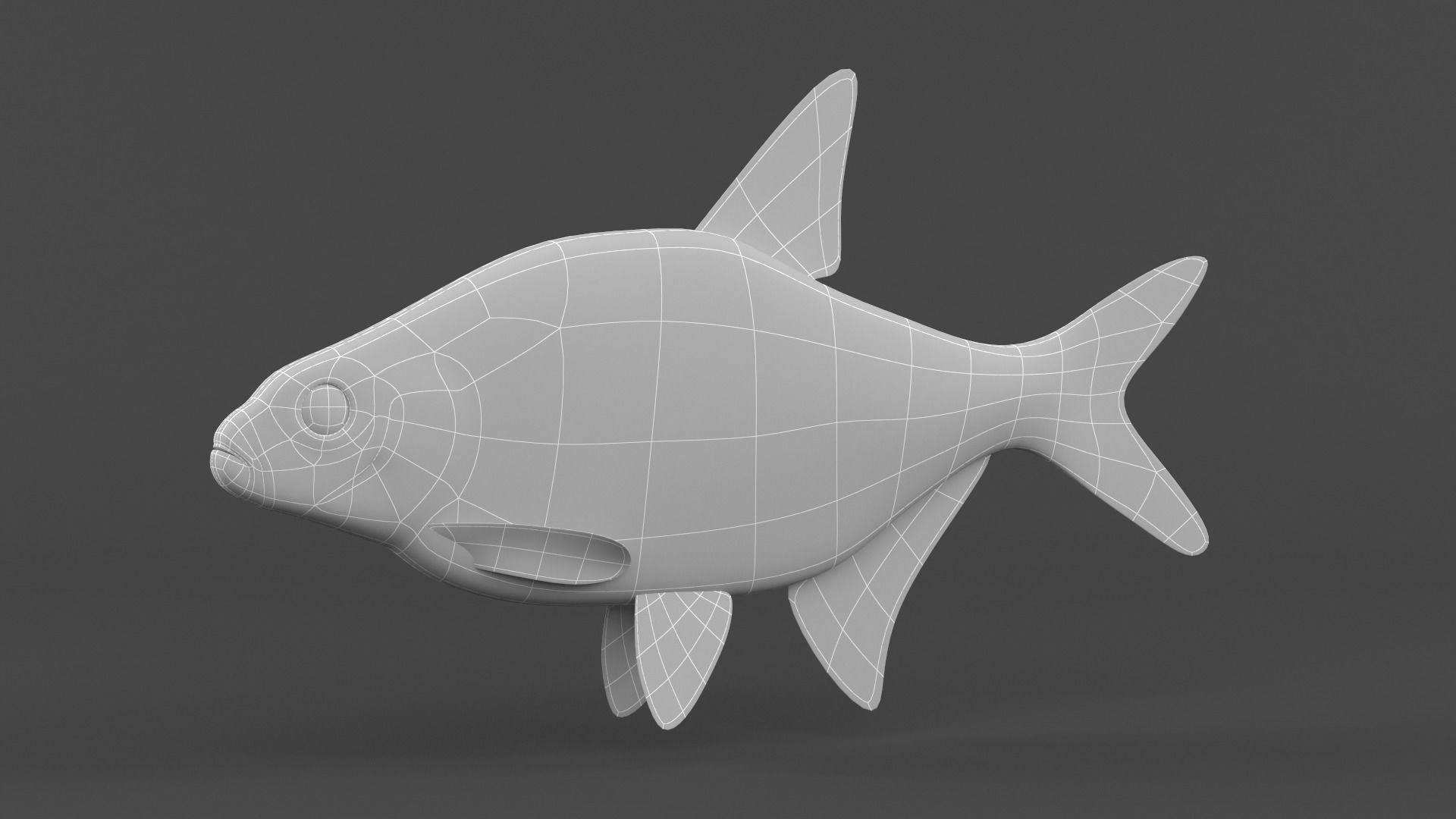 Bream Fish 3D model_7