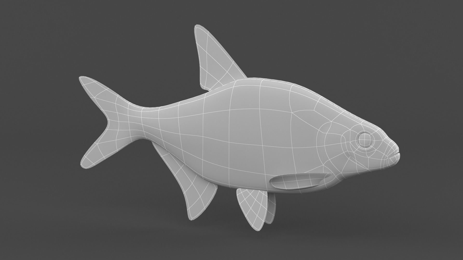 Bream Fish 3D model_6