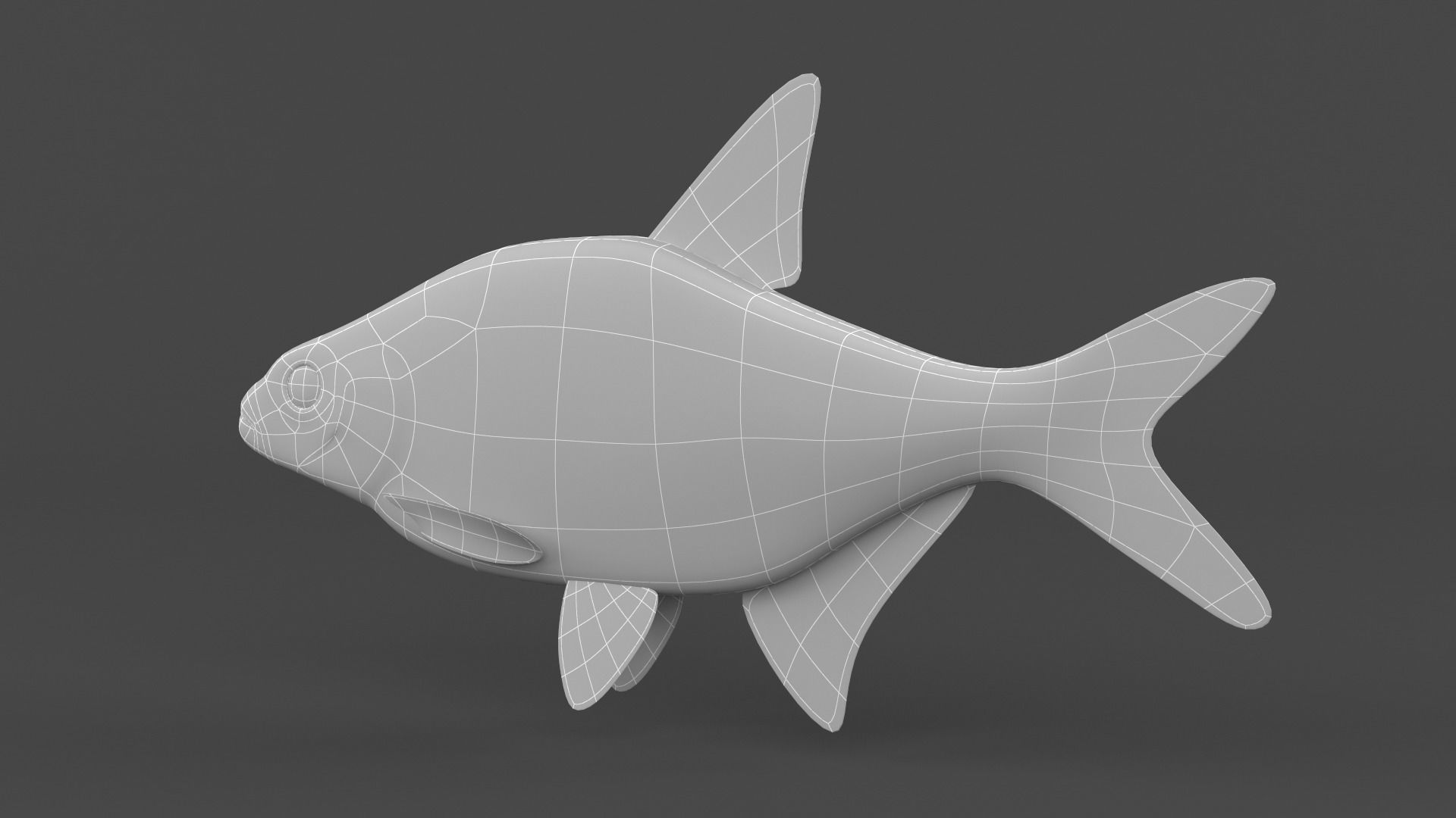 Bream Fish 3D model_9