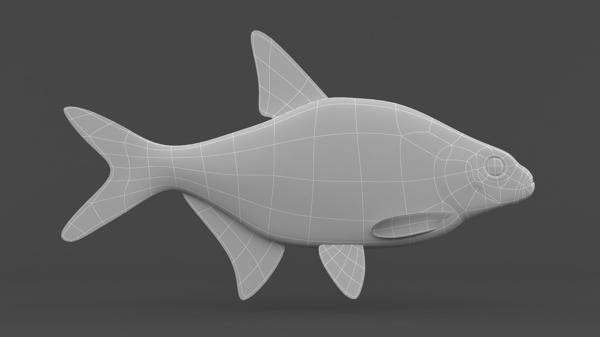Bream Fish 3D model_5