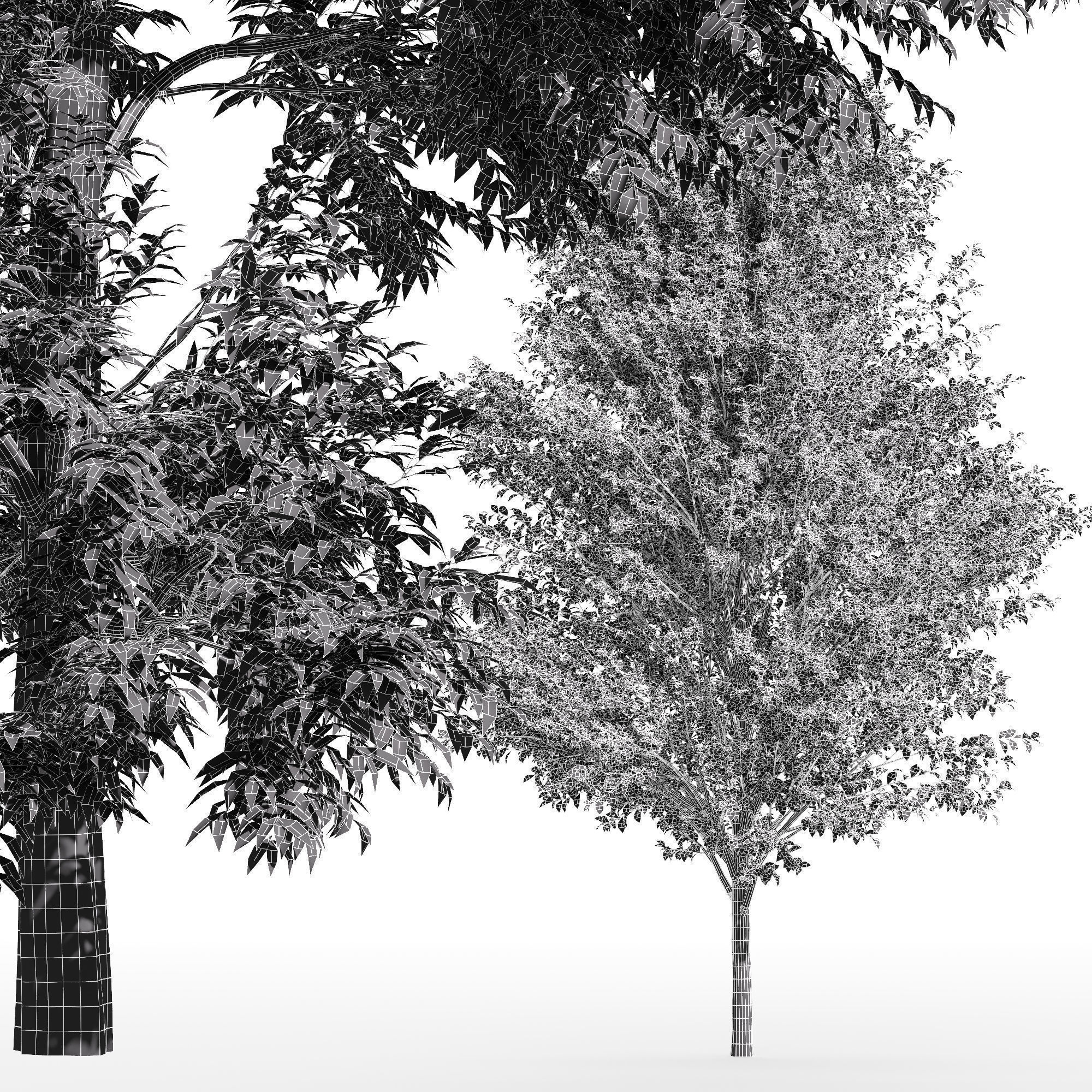 6 Different SETS of Tree SET VOL96 3D Model Collection_26
