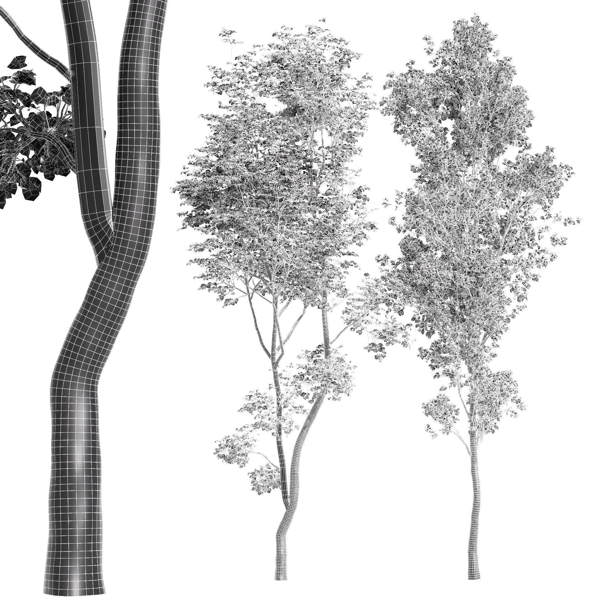 6 Different SETS of Tree SET VOL96 3D Model Collection_23