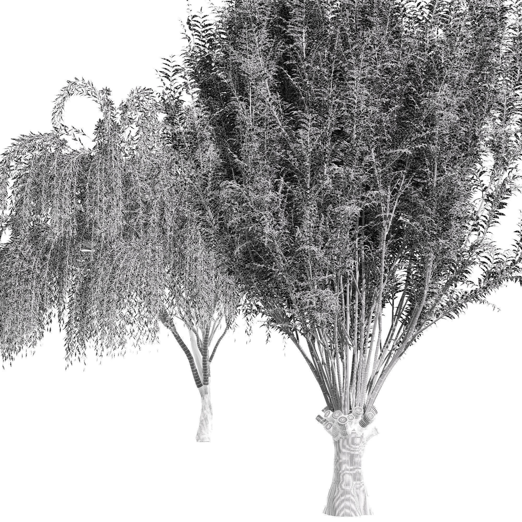 6 Different SETS of Tree SET VOL96 3D Model Collection_27
