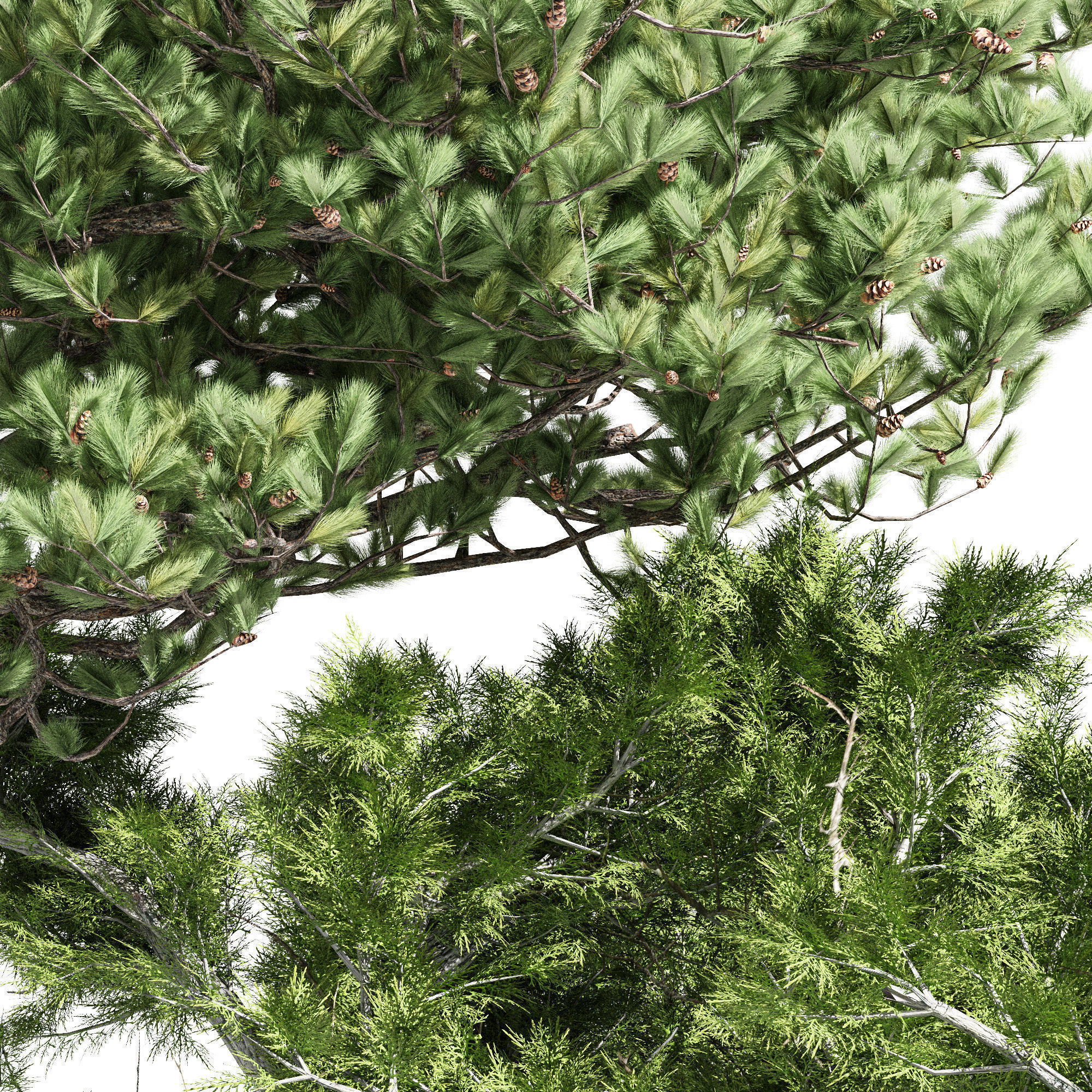 6 Different SETS of Tree SET VOL96 3D Model Collection_19