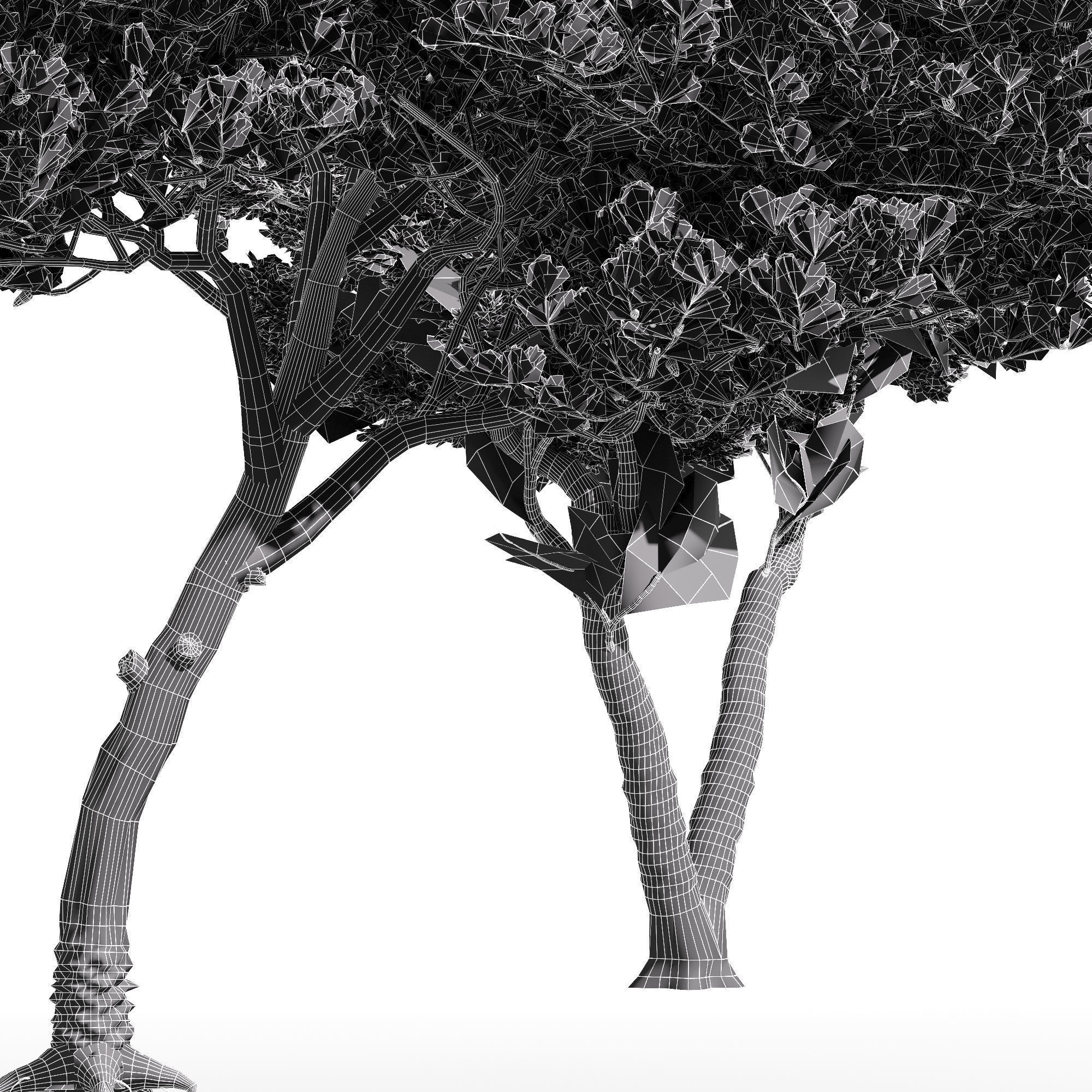 6 Different SETS of Tree SET VOL96 3D Model Collection_22