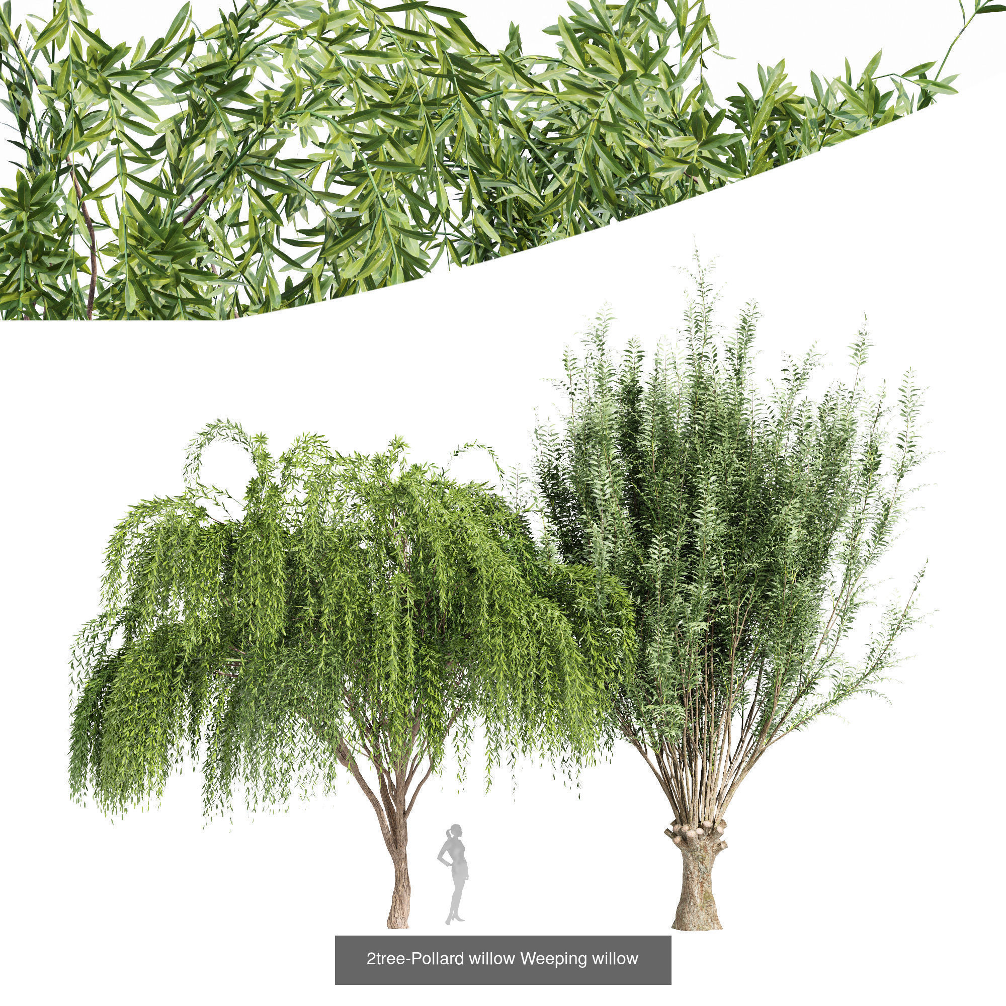 6 Different SETS of Tree SET VOL96 3D Model Collection_5