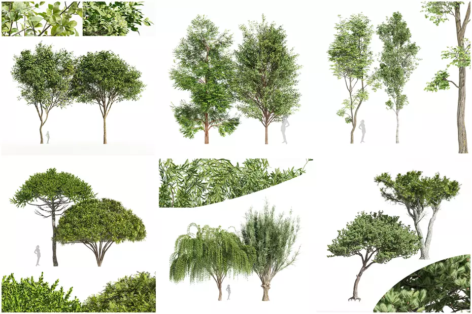 6 Different SETS of Tree SET VOL96 3D Model Collection_0