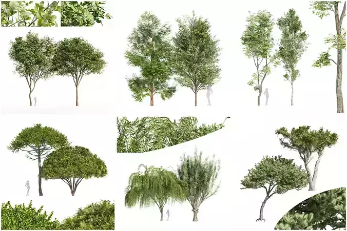 6 Different SETS of Tree SET VOL96 3D Model Collection