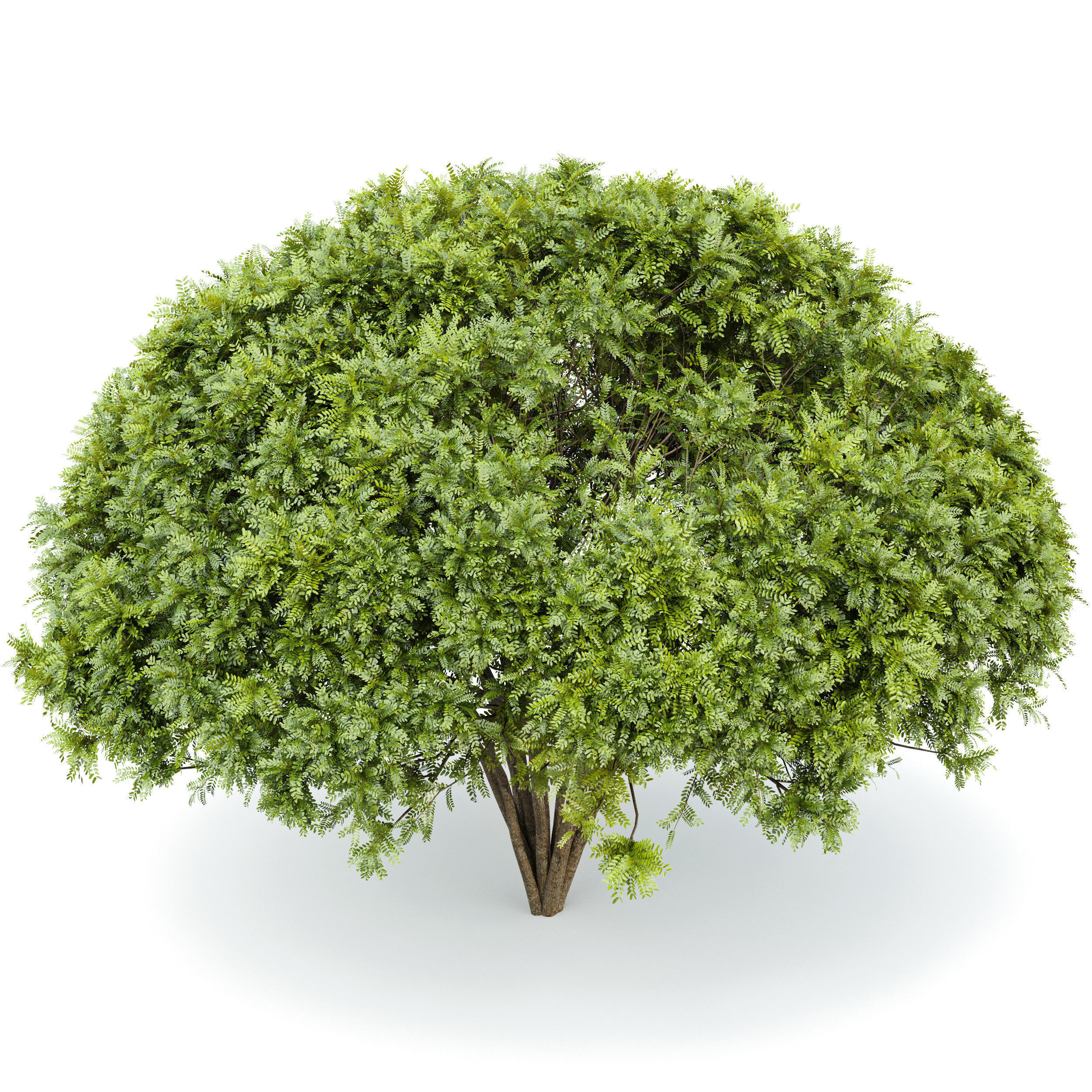 6 Different SETS of Tree SET VOL96 3D Model Collection_13