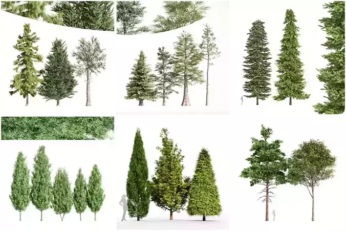 6 Different SETS of Tree SET VOL97 3D Model Collection