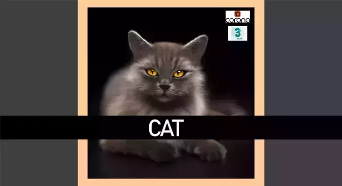 Cat 1 3D model