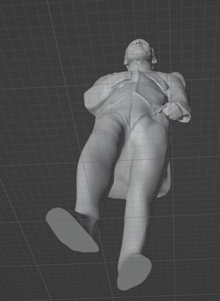 Napoleon 3D print model_3