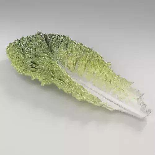 Lettuce Romaine Leaf Low-poly 3D model 2
