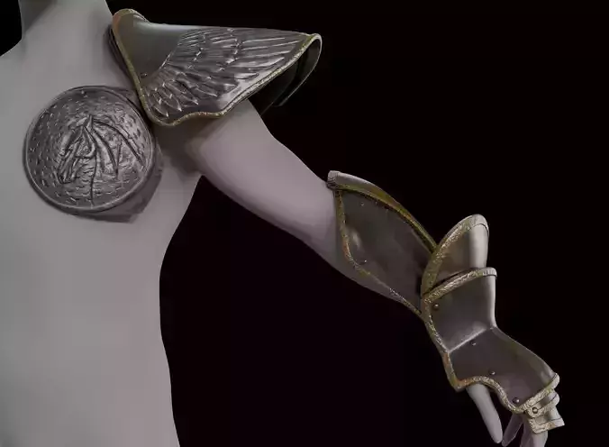 ARMADURA ENTRENAMIENTO PEGASO -MOVIE  KNIGHTS OF THE ZODIAC 3D print model