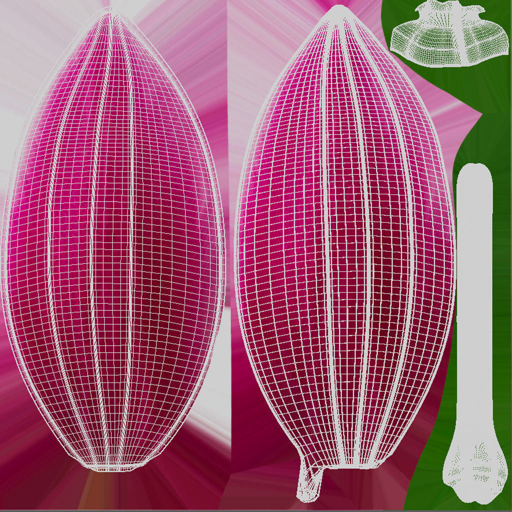 Tulip on a stem 3d-print ready 3D print model 3D print model_6