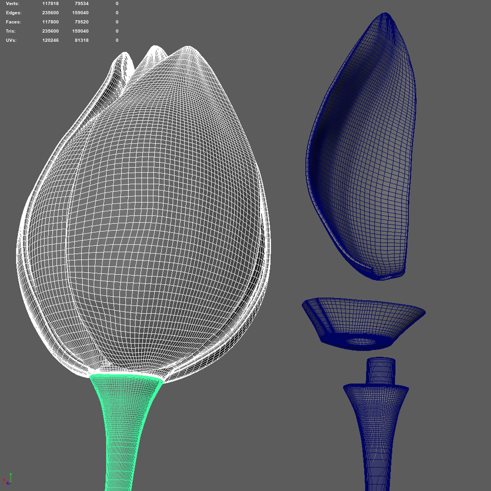 Tulip on a stem 3d-print ready 3D print model 3D print model_5