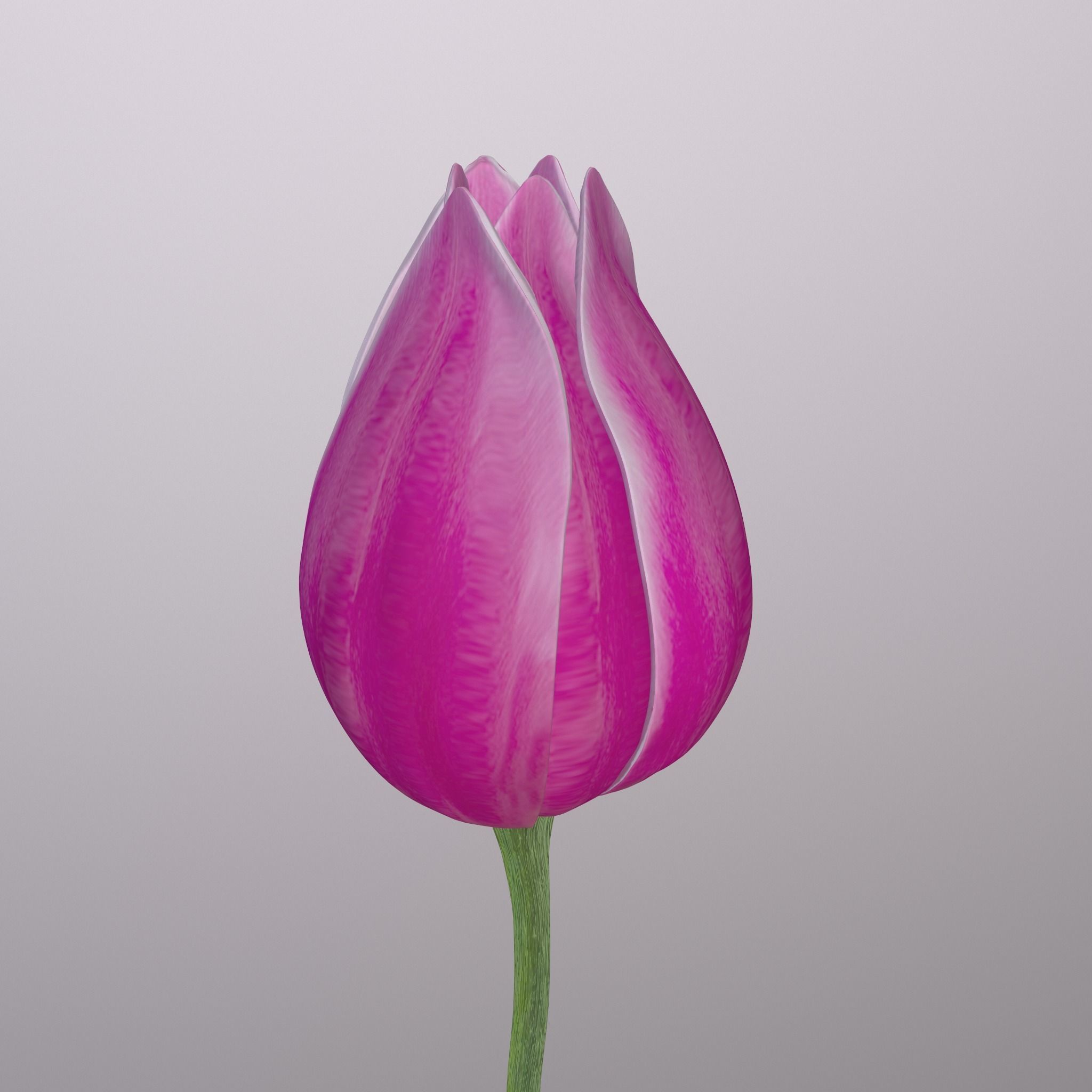 Tulip on a stem 3d-print ready 3D print model 3D print model_7