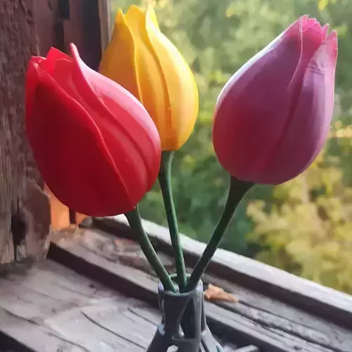Tulip on a stem 3d-print ready 3D print model