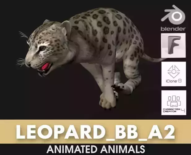 Leopard Baby A2
