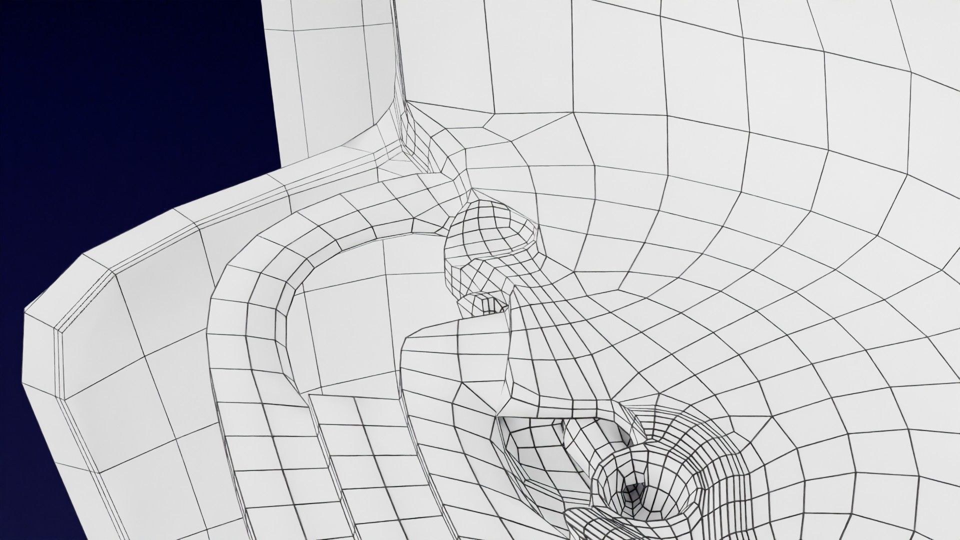 Human embryo 15-28 days 3-4 weeks gastrulation 3D model_100