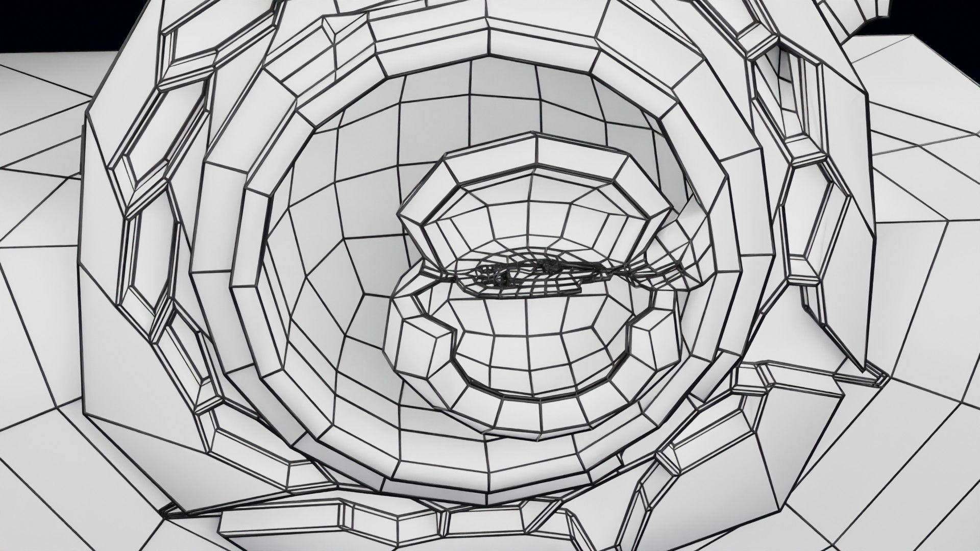Human embryo 15-28 days 3-4 weeks gastrulation 3D model_58