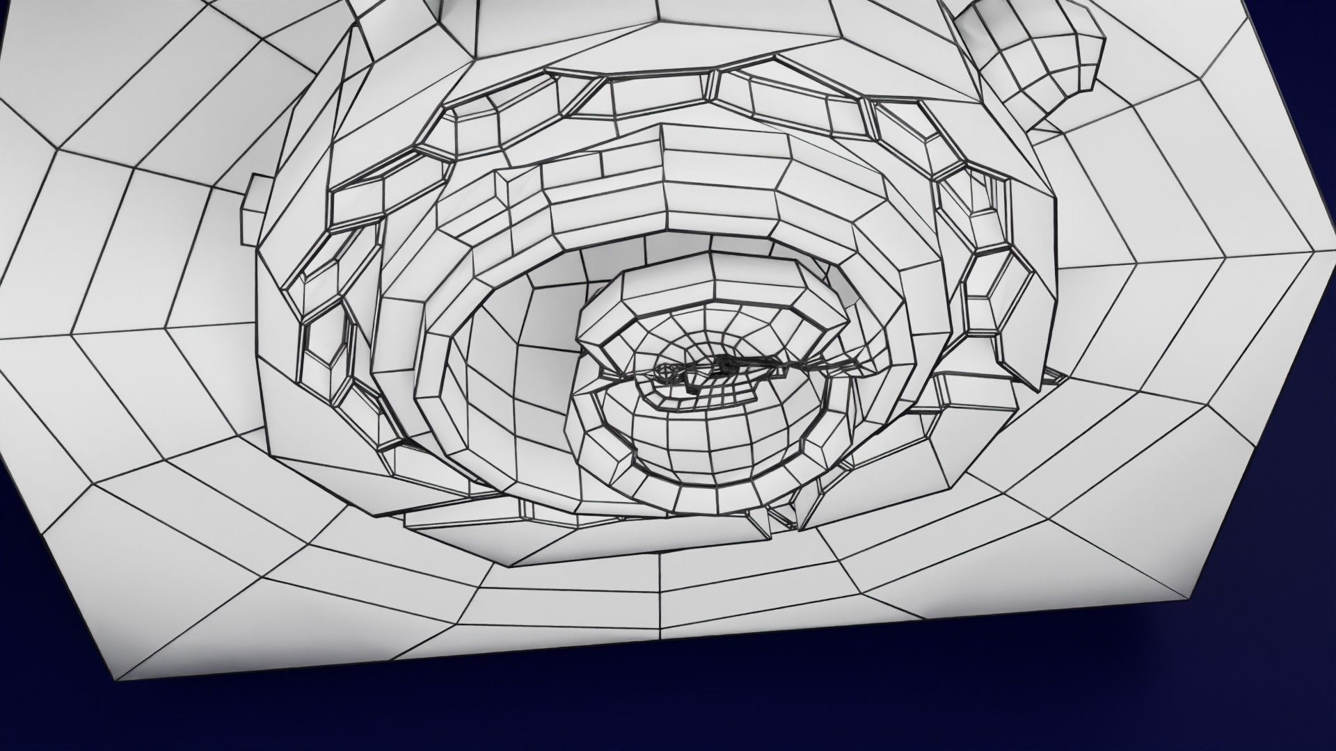 Human embryo 15-28 days 3-4 weeks gastrulation 3D model_69