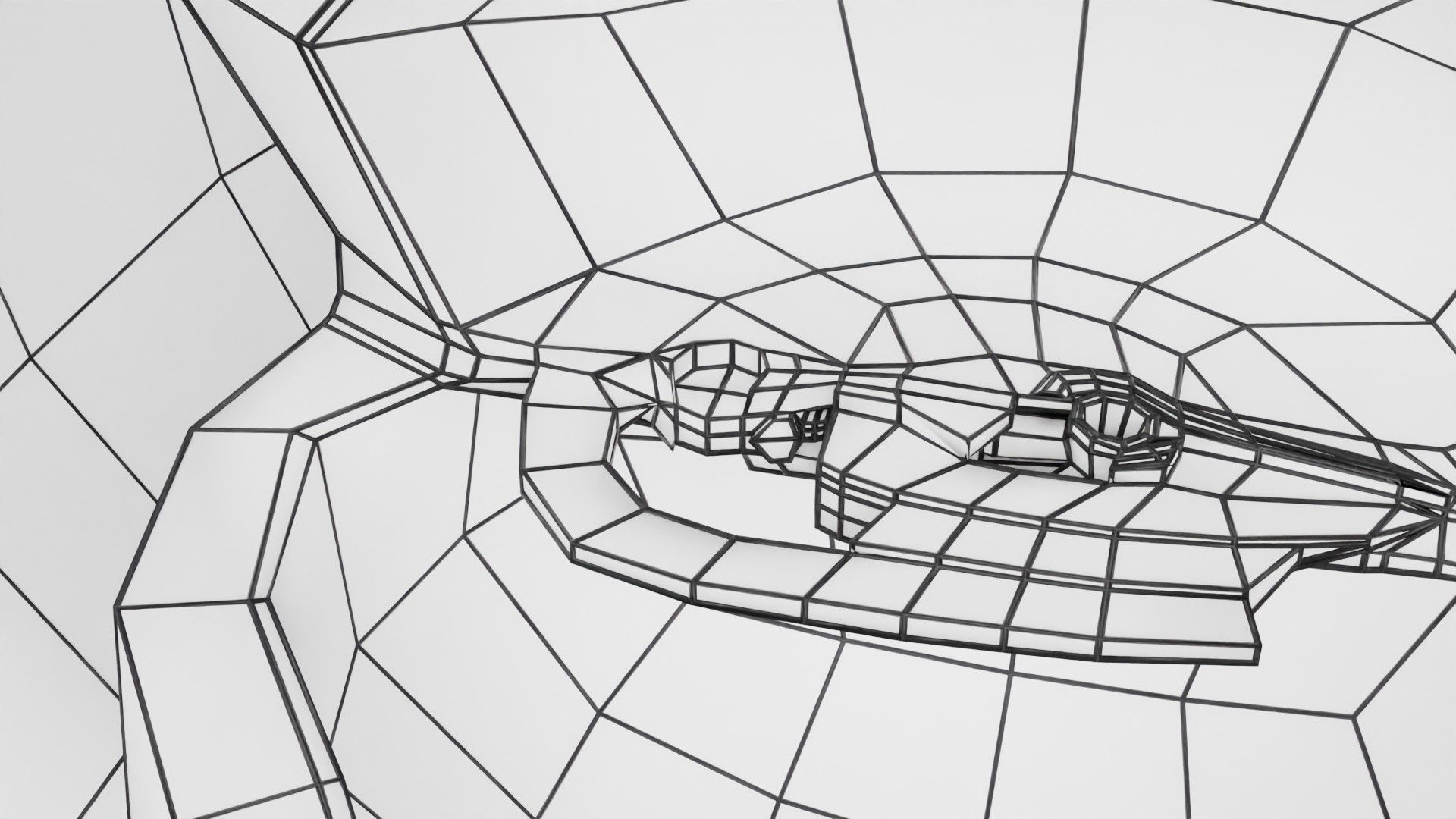 Human embryo 15-28 days 3-4 weeks gastrulation 3D model_66