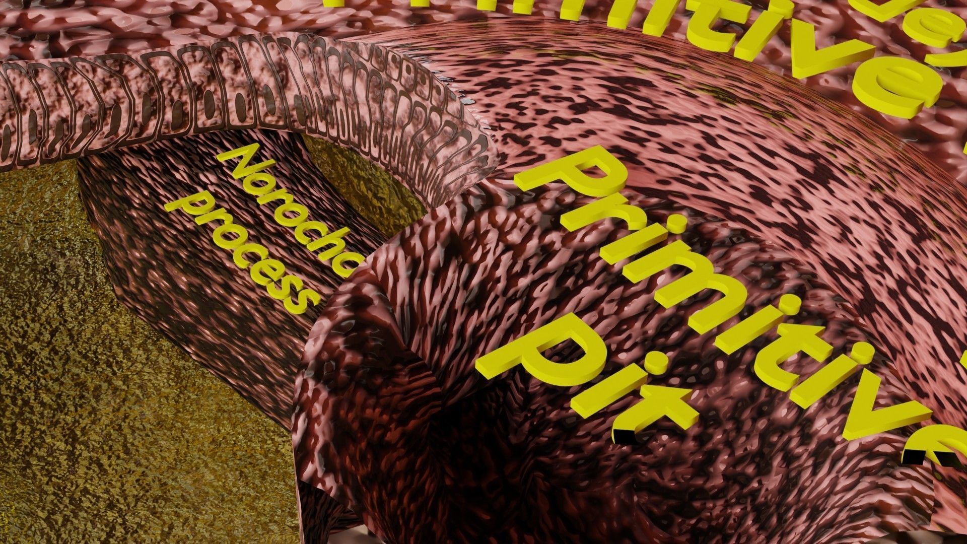 Human embryo 15-28 days 3-4 weeks gastrulation 3D model_47