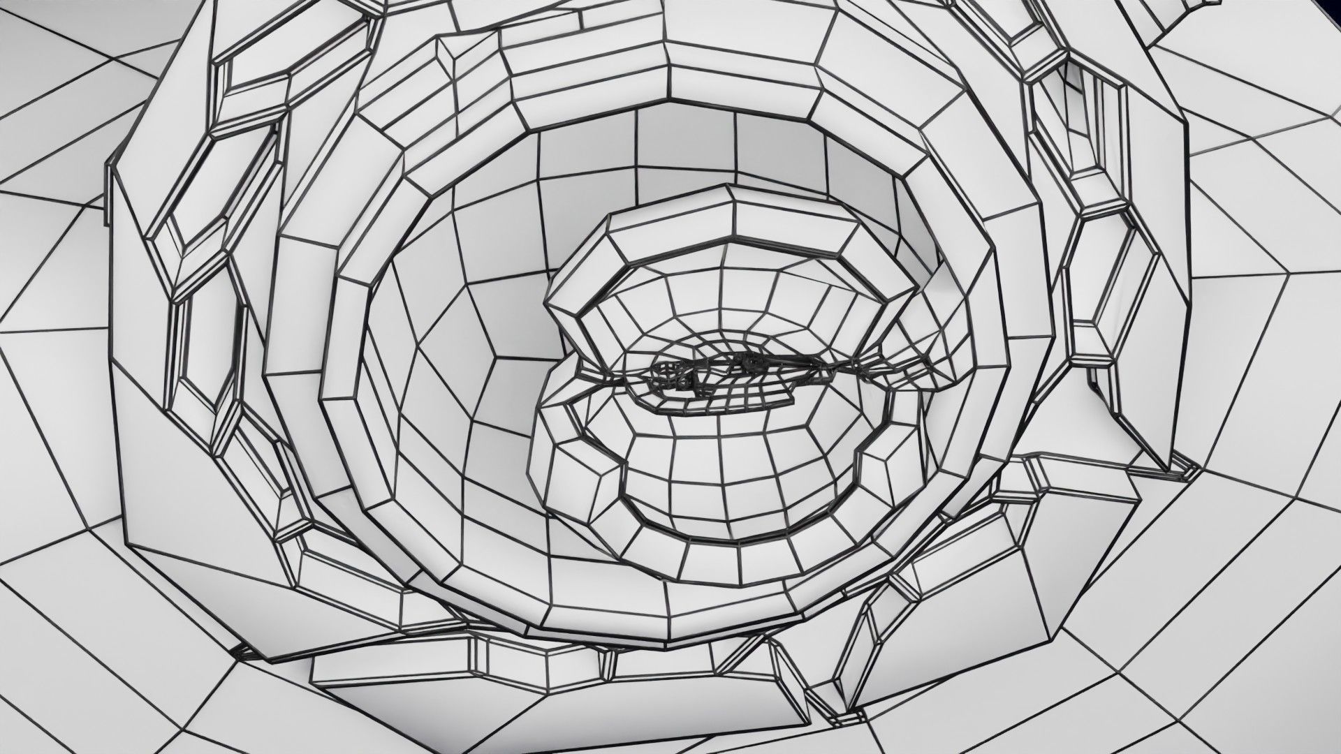 Human embryo 15-28 days 3-4 weeks gastrulation 3D model_62