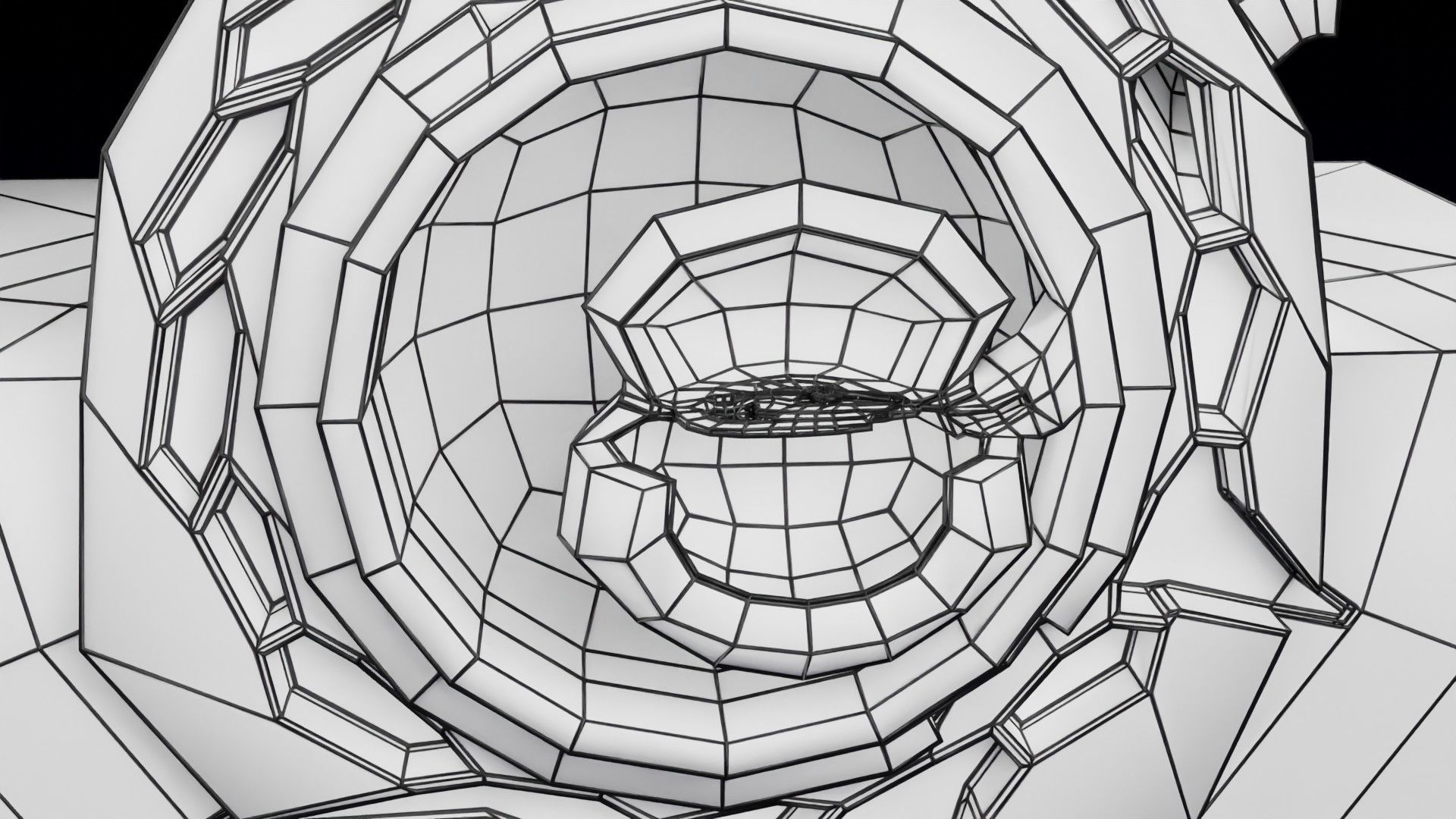 Human embryo 15-28 days 3-4 weeks gastrulation 3D model_75