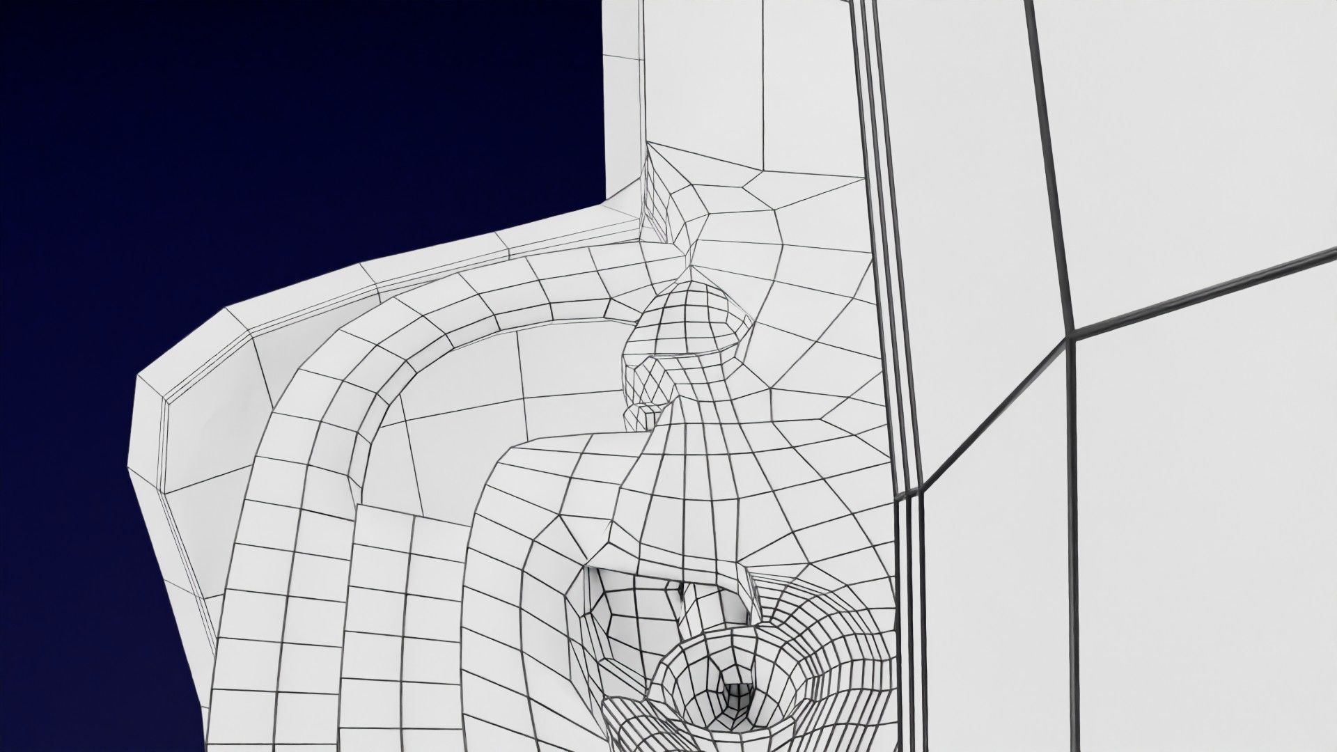 Human embryo 15-28 days 3-4 weeks gastrulation 3D model_124