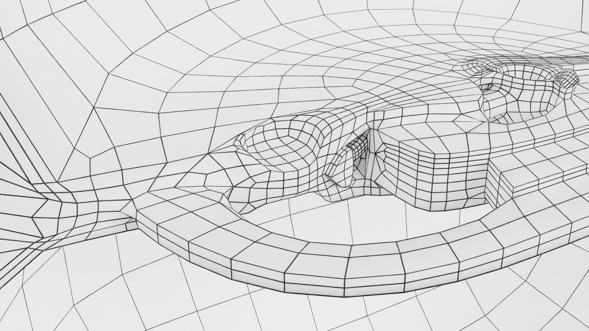 Human embryo 15-28 days 3-4 weeks gastrulation 3D model_132