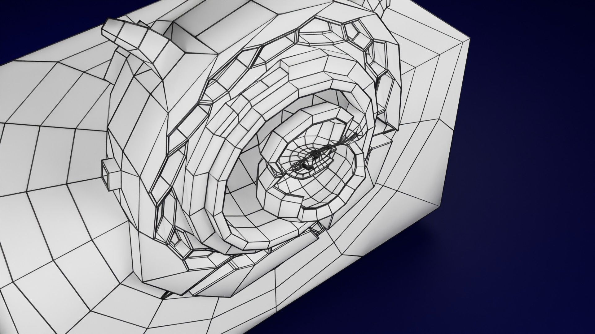Human embryo 15-28 days 3-4 weeks gastrulation 3D model_60