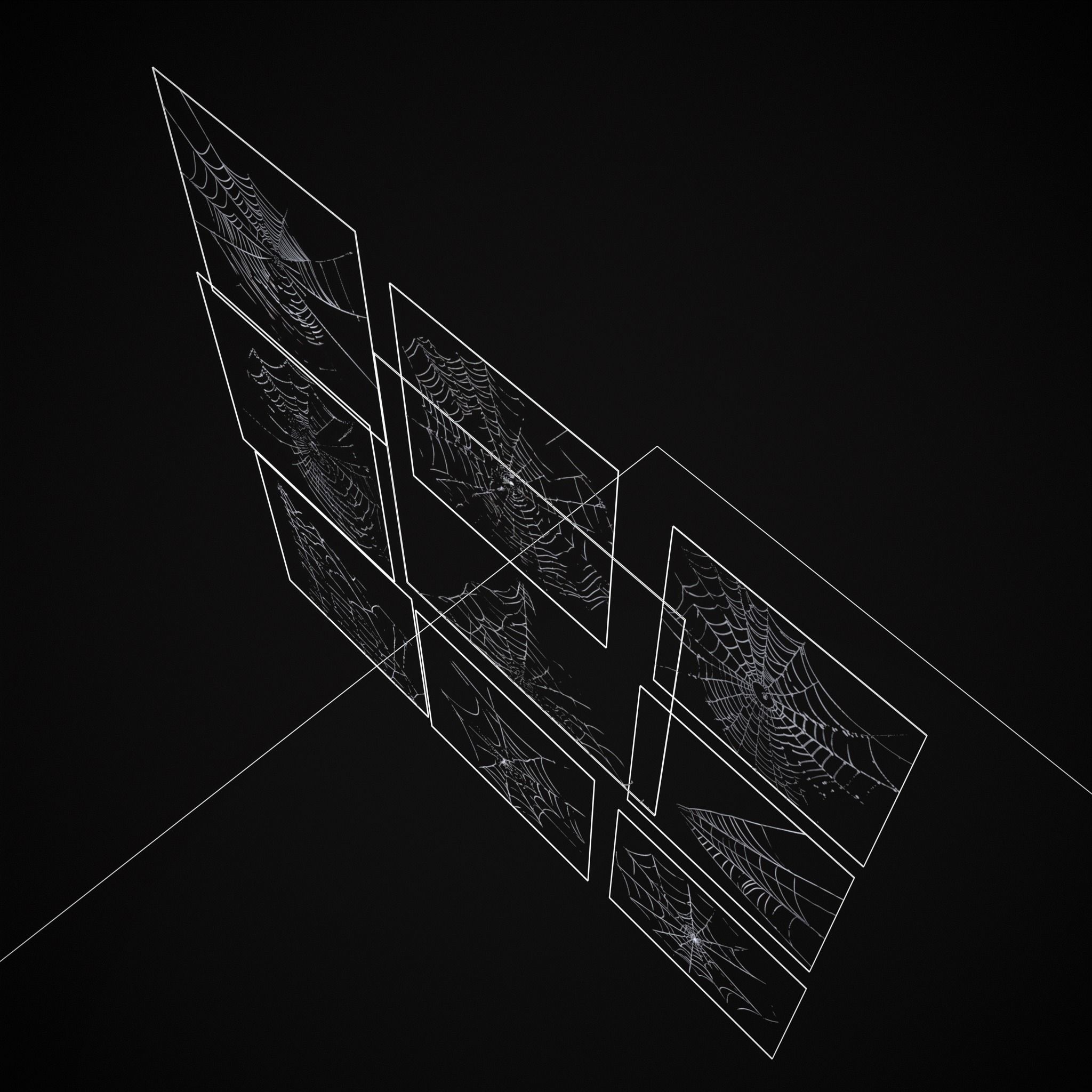 Spider Webs Pack One Low-poly 3D model_11