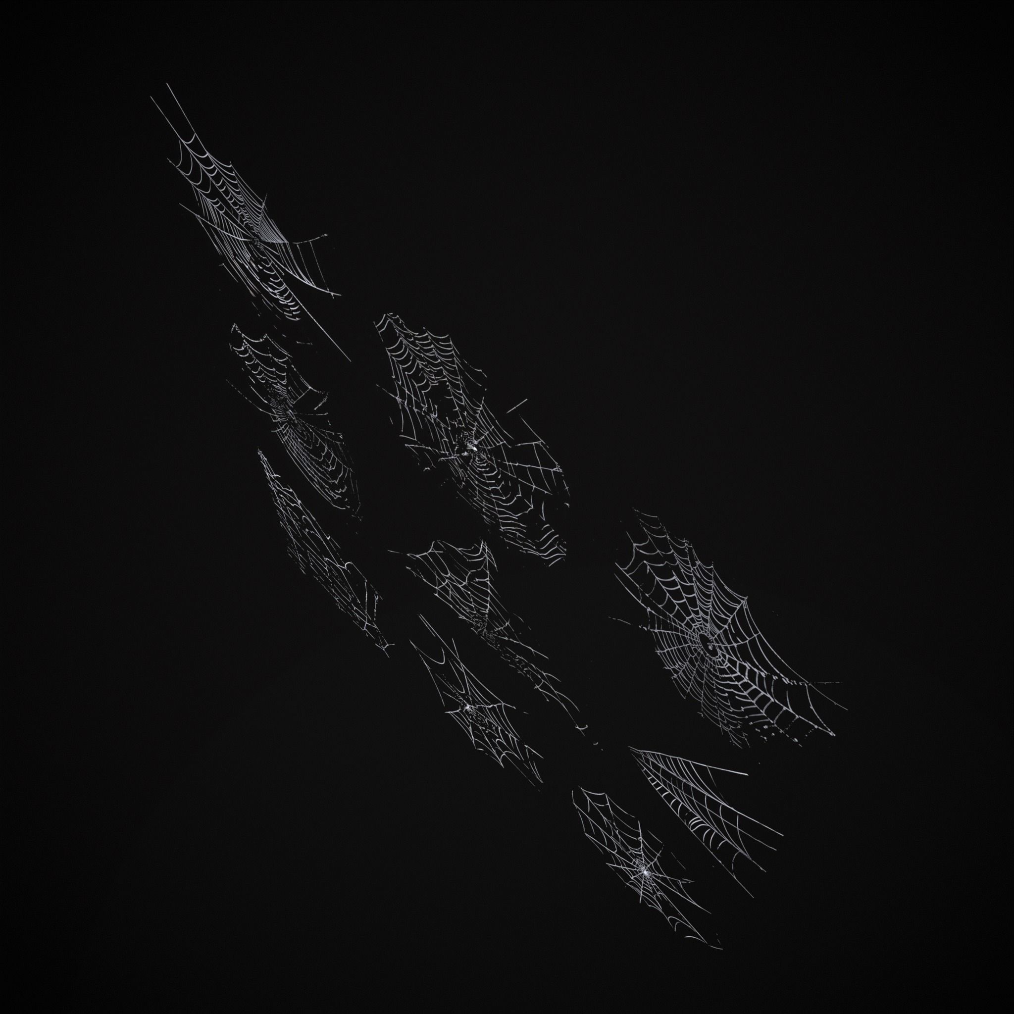 Spider Webs Pack One Low-poly 3D model_10