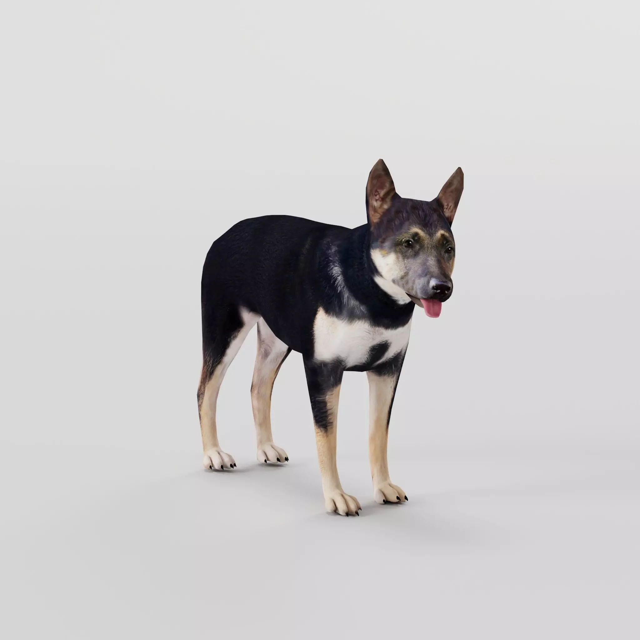 German Shepherd Puppy Dog Low-poly 3D model