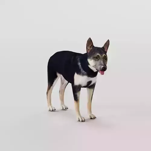 German Shepherd Puppy Dog Low-poly 3D model
